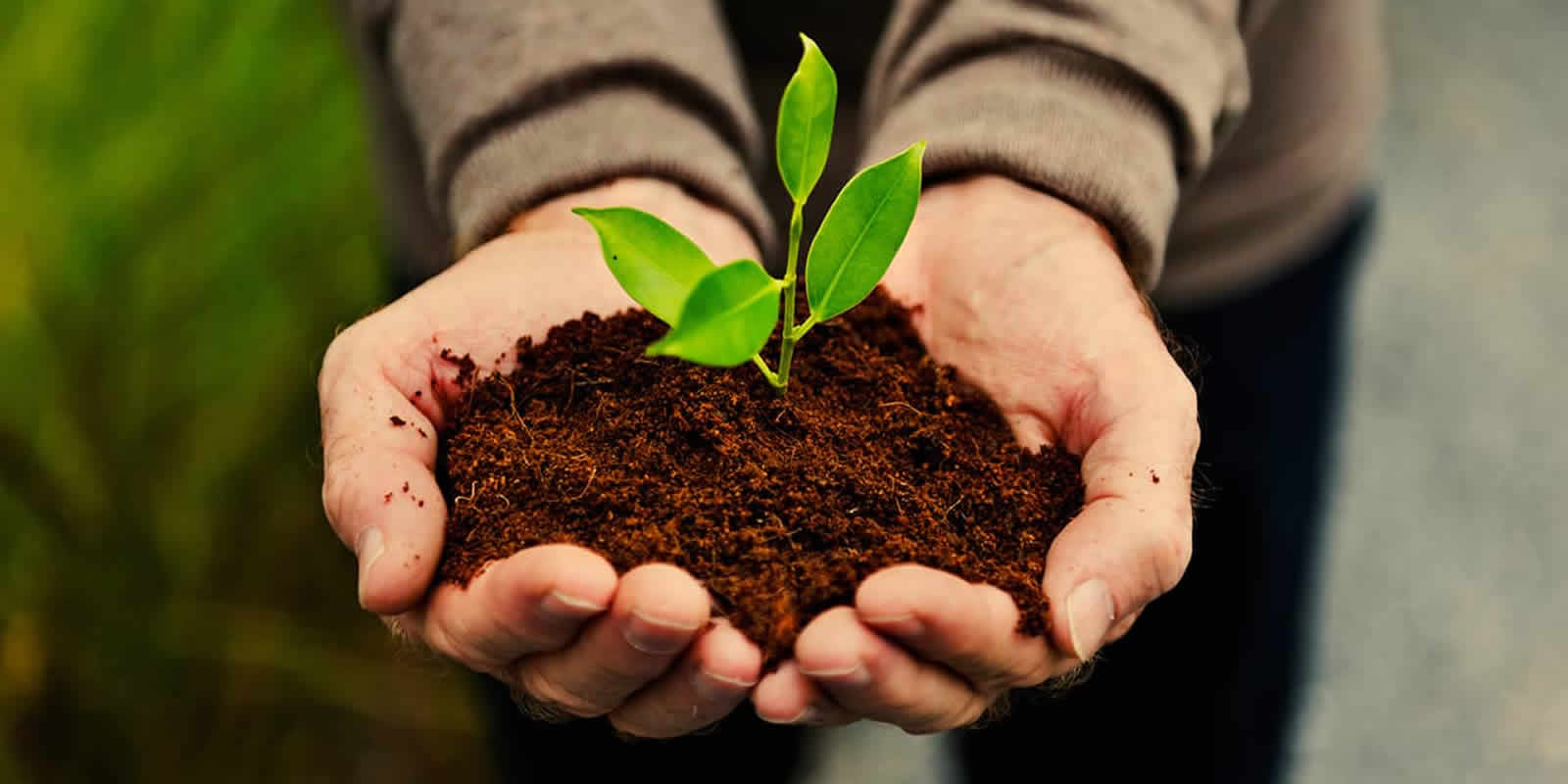 Sustainable Agriculture Seminar