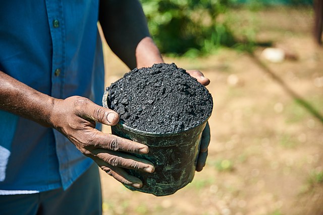 Biochar