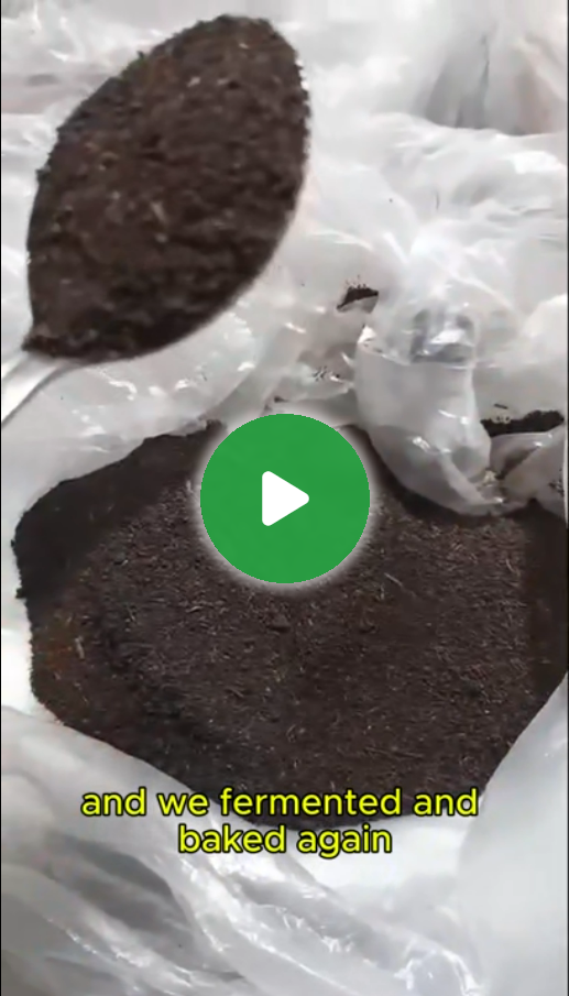 Processing of Tea Waste - 1